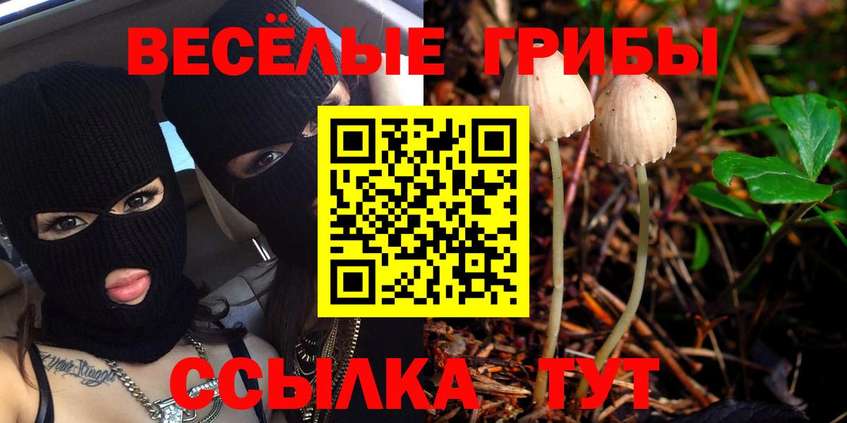 Псилоцибиновые грибы GOLDEN TEACHER  закладки  Балтийск  Галлюциногенные грибы ЛСД  Вход с VPN 
